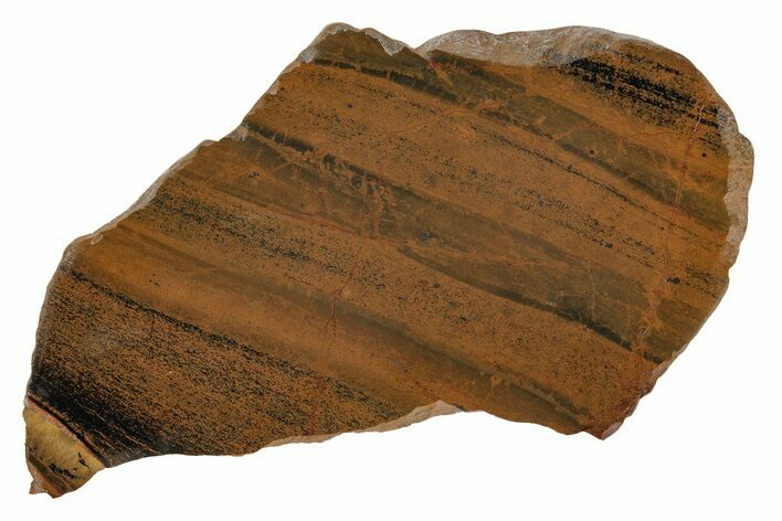 Marra Mamba Tiger's Eye Slab - Mt Brockman ( Billion Years) #216743